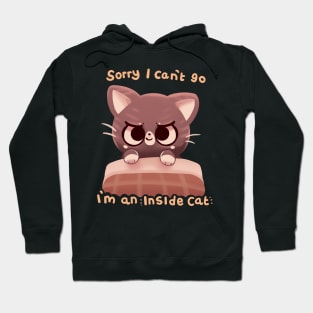 Can't Go I'm an Inside Cat Hoodie